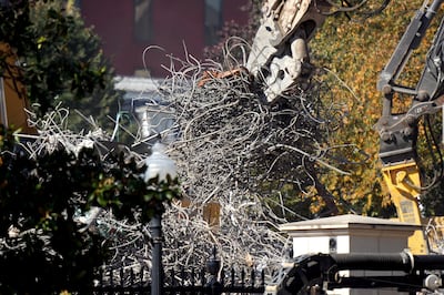 Ronald Reagan’s Daughter Patti Davis Tears Into Donald Trump’s