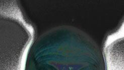 galleries/2010/11/08/vip-portrait-show/samaras-poses---6_zhynsn