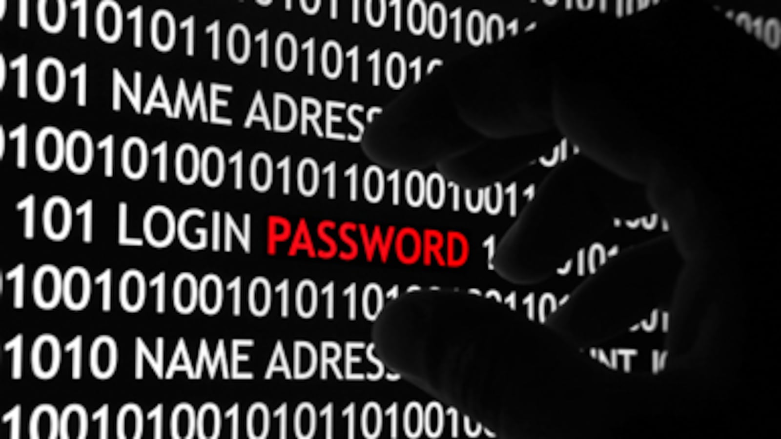 articles/2010/12/16/how-the-visa-mastercard-and-gawker-hackers-have-created-a-cybersecurity-gold-rush/ries-cyber-security_147856_covrah