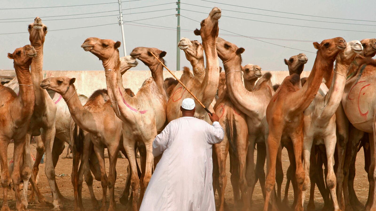 articles/2016/06/10/the-soft-bigotry-of-the-american-left-when-it-comes-to-the-middle-east/160609-barrett-middle-east-tease_ivwrn9