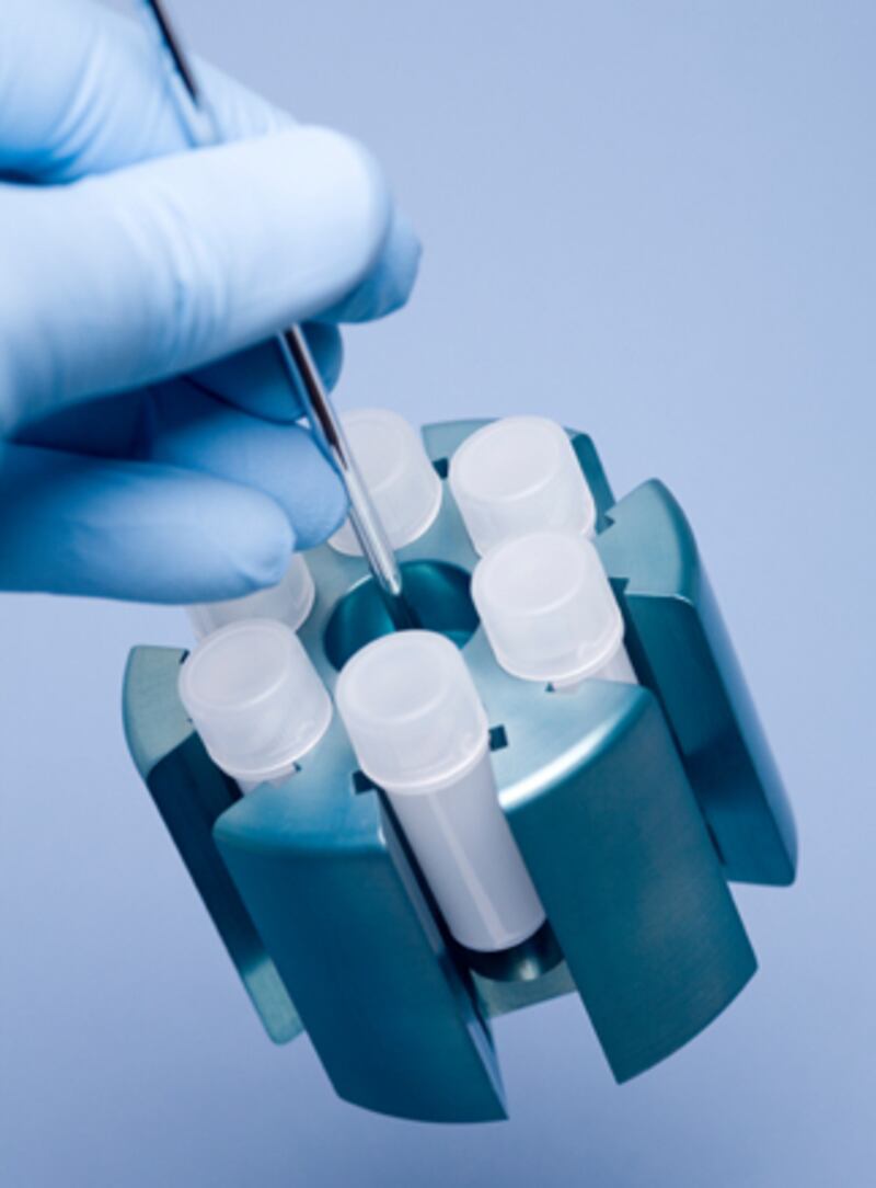 galleries/2010/11/27/cosmetic-procedures/cosmetic-procedures---stem-cells_s0vnaw