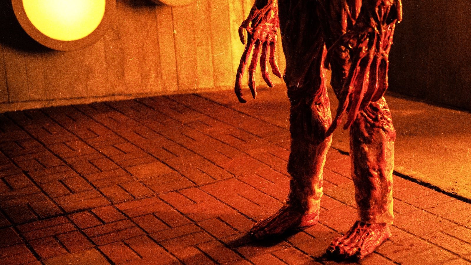 221021-Schager-Cabinet-of-Curiosities-tease_vifryl