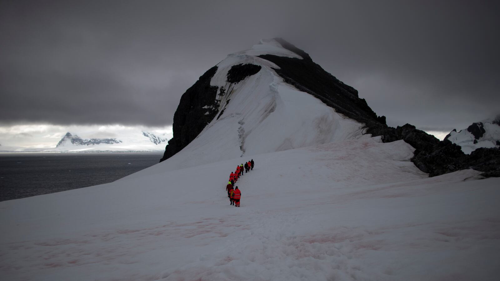 2020-02-11T000238Z_17420383_RC20YE91FSXY_RTRMADP_3_CLIMATE-CHANGE-ANTARCTICA-PENGUINS_qrroyn