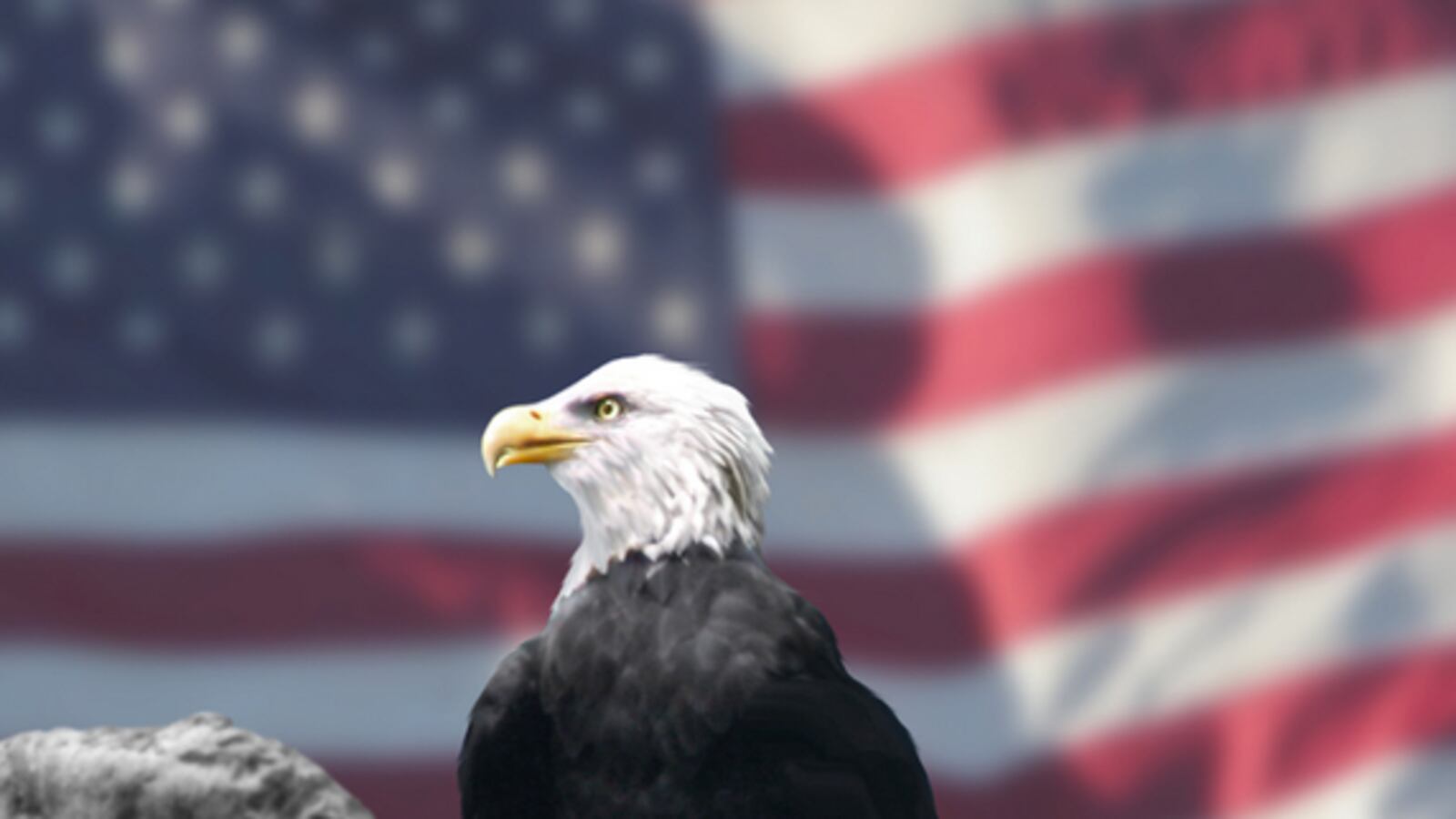 articles/2013/05/14/if-a-windmill-kills-an-eagle-does-the-government-make-a-sound/if-a-windmill-kills-an-eagle-does-the-government-make-a-sound-image_pcgqfb