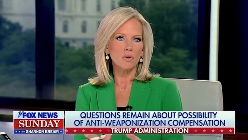 shannon bream