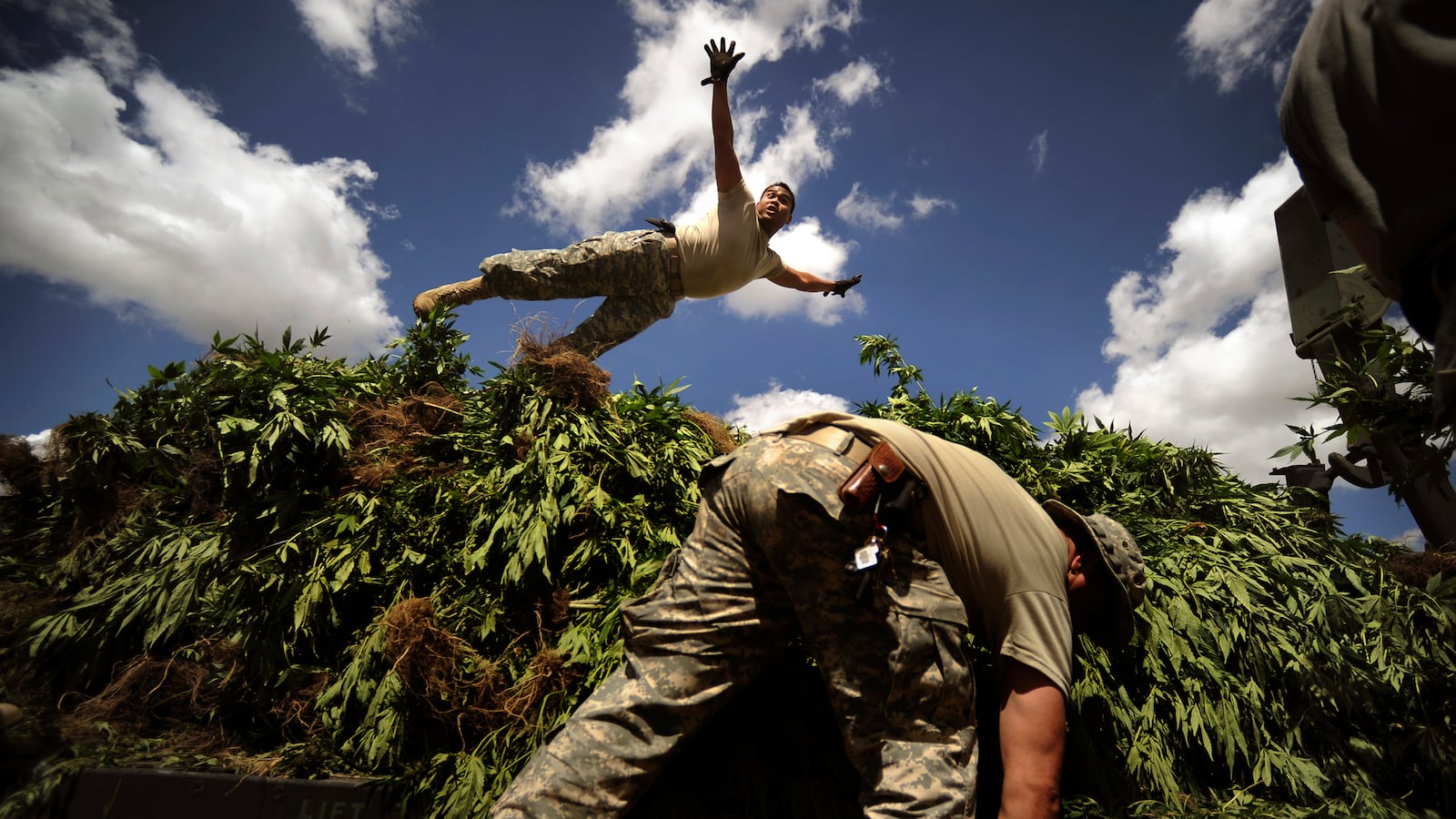 articles/2014/03/04/weed-cops-blaze-new-trail/20140303-panne-lawenforcement_azopph