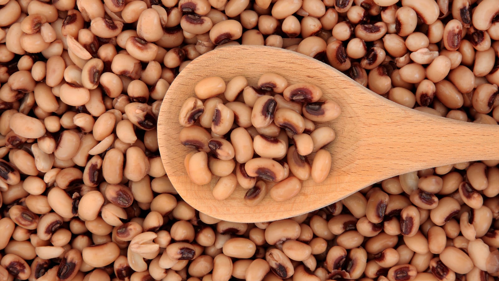 201231-watman-black-eyed-peas-tease_i8igxw