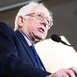 190403-Stein-Bernie-fox-tease_sww8gp