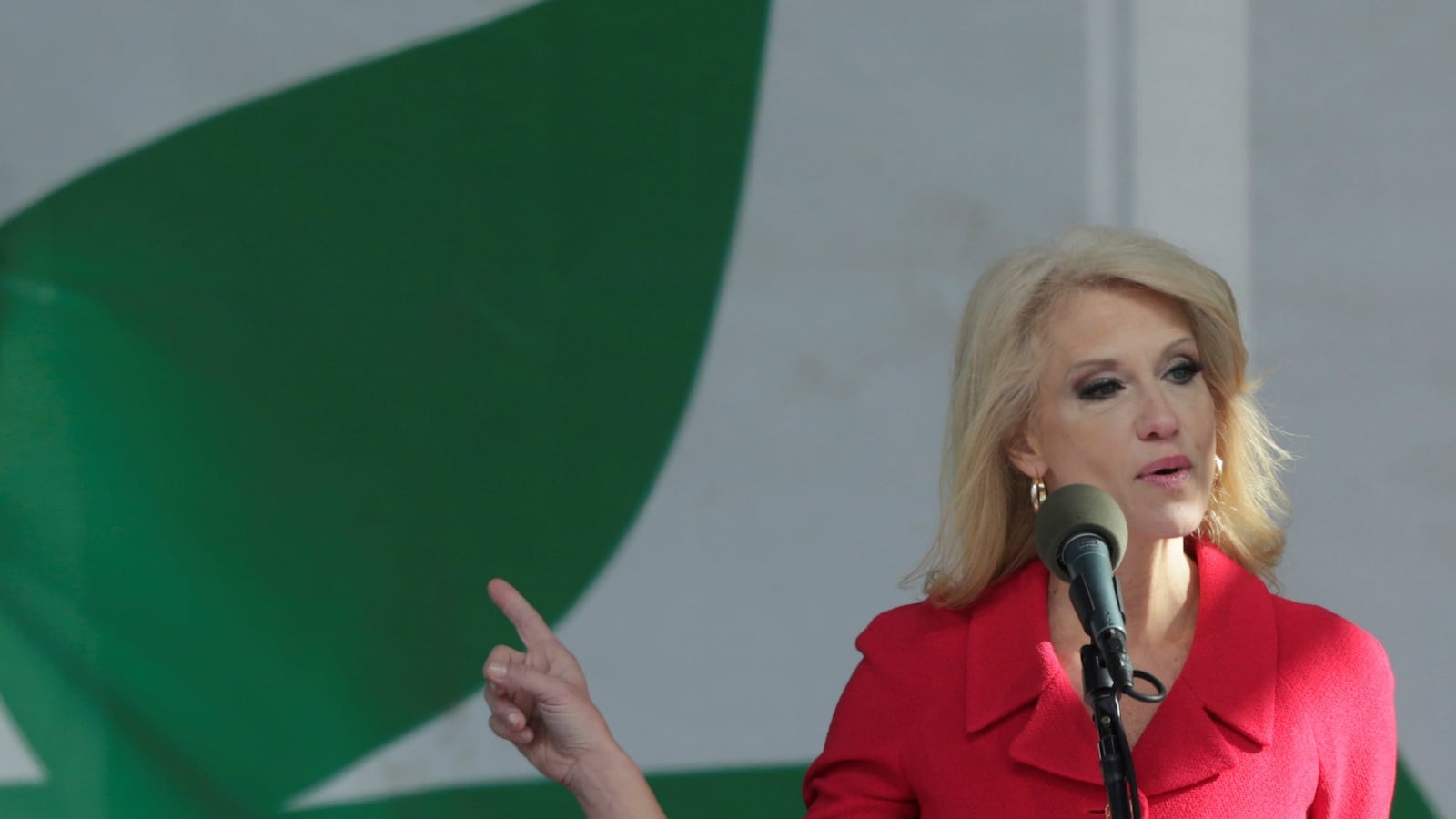 cheats/2017/01/30/conway-why-aren-t-reporters-who-talk-smack-about-trump-fired/170129-kellyanne-conway-press-fired-cheat_rxicwj