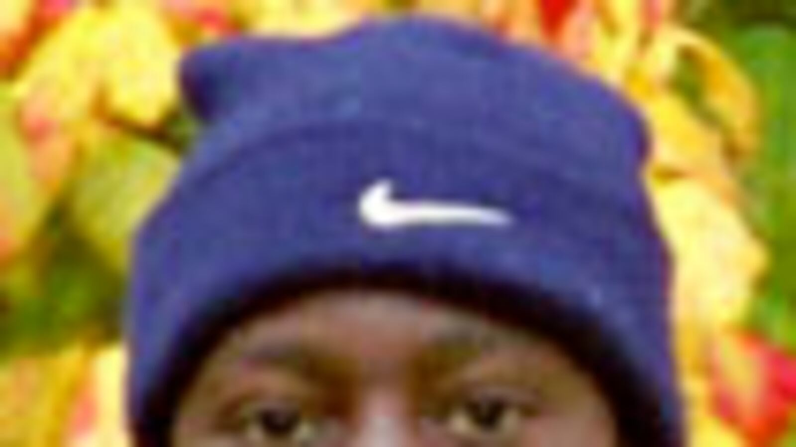 cheats/2010/01/06/xmas-bomber-known-to-intel-during-flight/chertoff-undie-bomber-abdulmutallab_72411_aviqyv