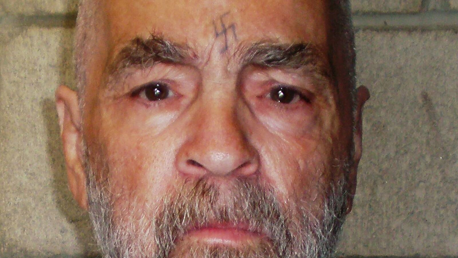 170105-nestel-mason-dead-tease_bm8avf