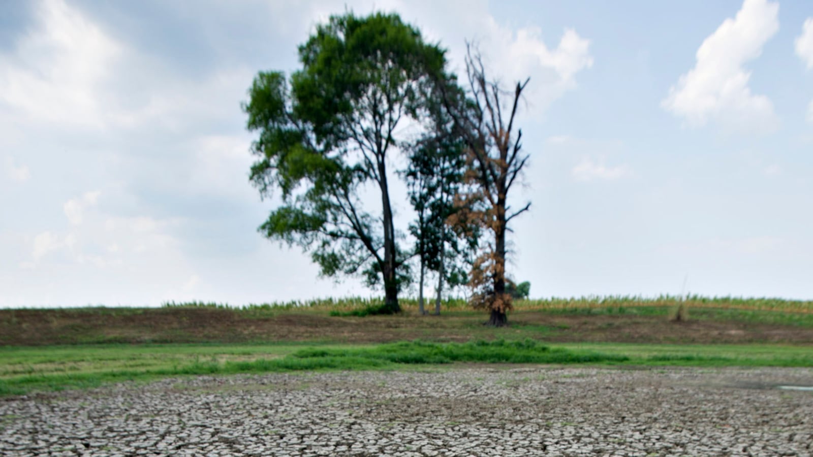 cheats/2012/07/15/2012-drought-rivals-dust-bowl/drought-dust-bowl-cs_t1haid