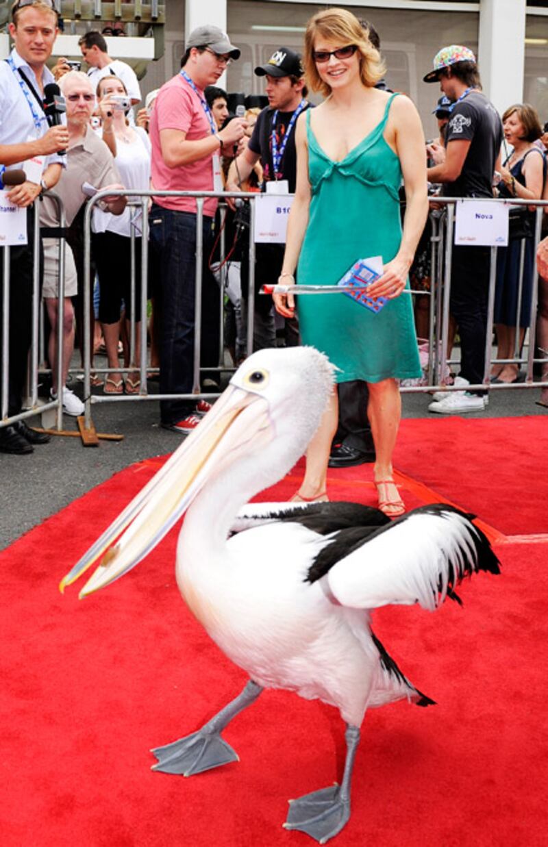 galleries/2011/05/20/animal-red-carpet/animal-red-carpet---jodie-foster_o0uazk