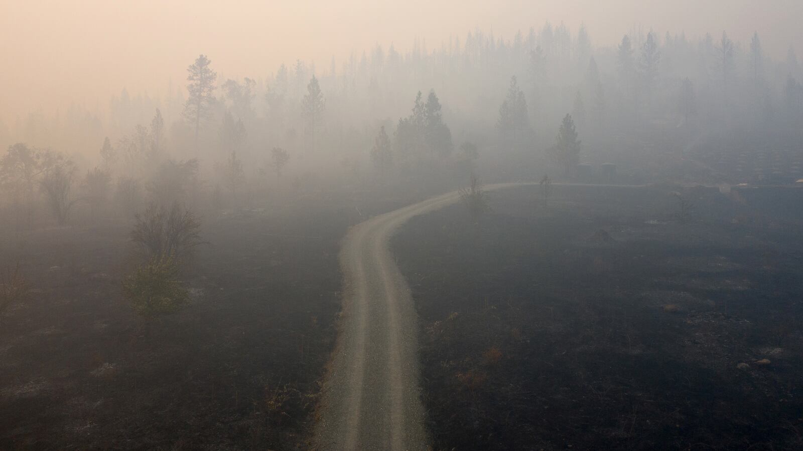 2020-09-10T171613Z_503044724_RC2TVI9O2BI4_RTRMADP_3_USA-WILDFIRES-OREGON_qbrwss