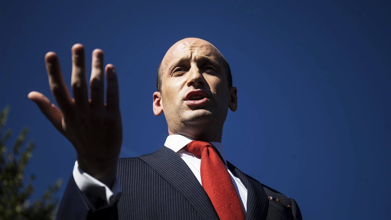 200623-wilson-trump-rally-tease-2_r17ed2