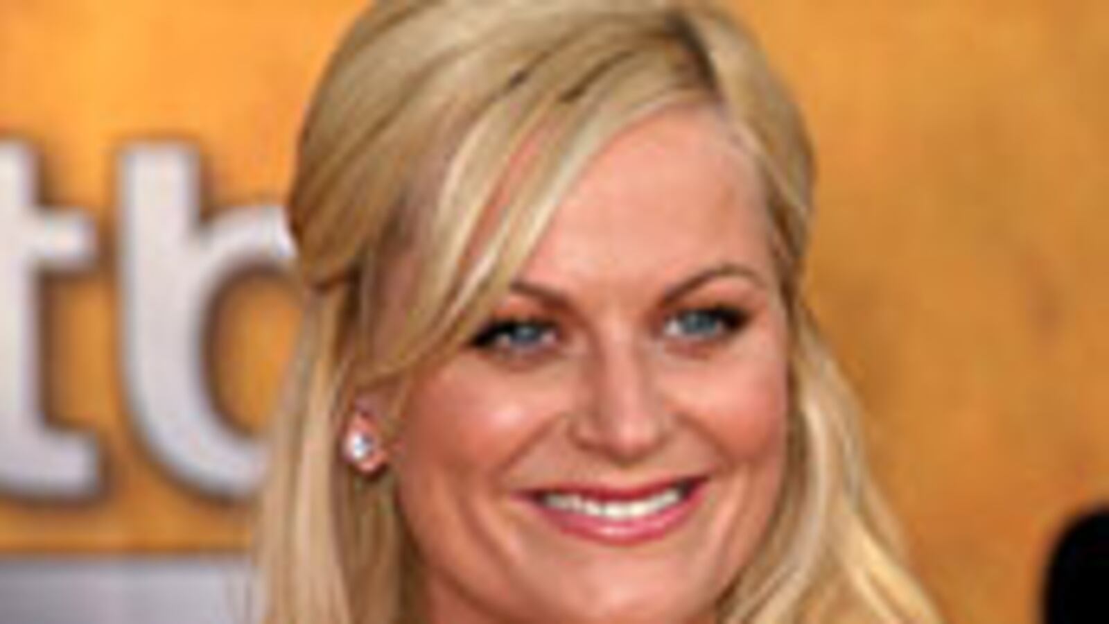 articles/2009/04/09/amy-poehler-the-seriously-funny-interviewnbsp/keller-amy-poehler_21617_lbhltr