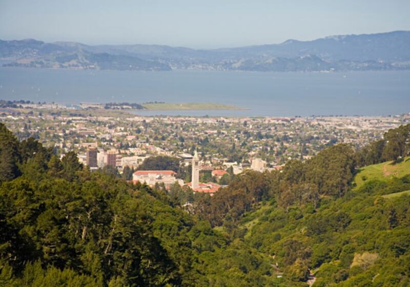 galleries/2011/04/19/pot-capitals-2011/pot-smoking-cities---berkeley_psitvp