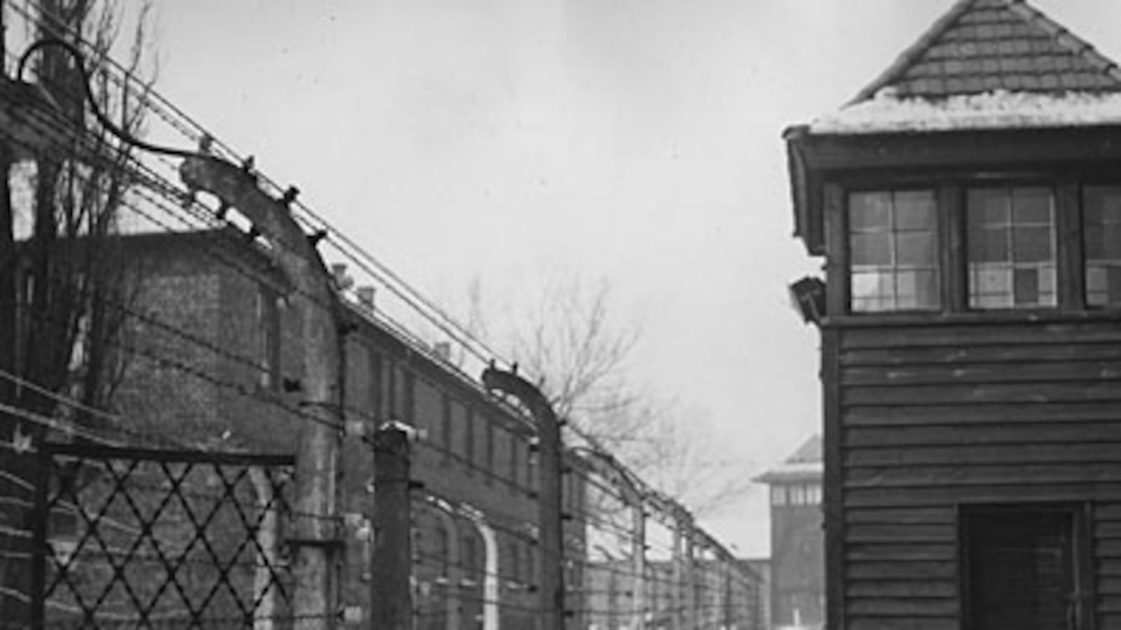 cheats/2008/11/10/auschwitz-plans-discovered/auschwitz_vnc9zn