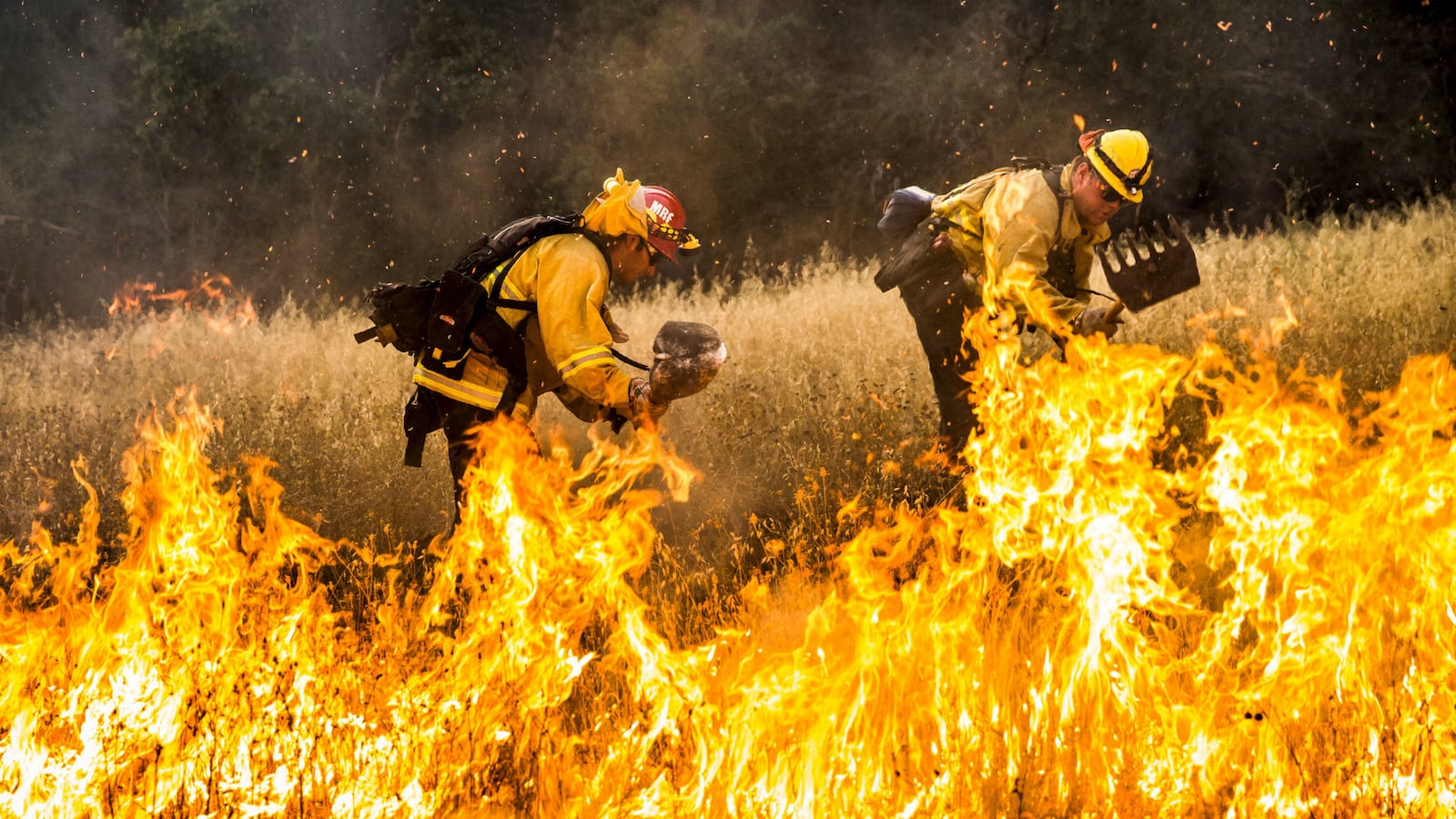 cheats/2015/08/02/calif-wildfire-destroys-dozens-of-homes/150802-california-wildfire-cheat_navji9