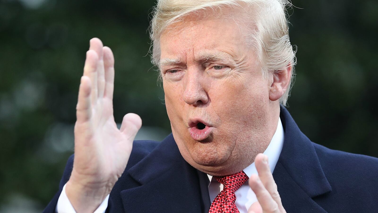 TRUMPppp_ngmnxf