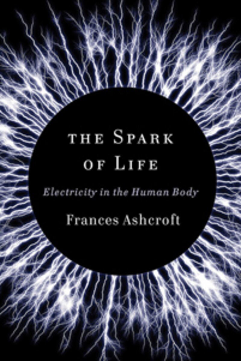 articles/2012/12/30/10-best-hot-reads-of-2012-you-might-have-missed/spark-of-life-ashcroft-bookcover_oul01y