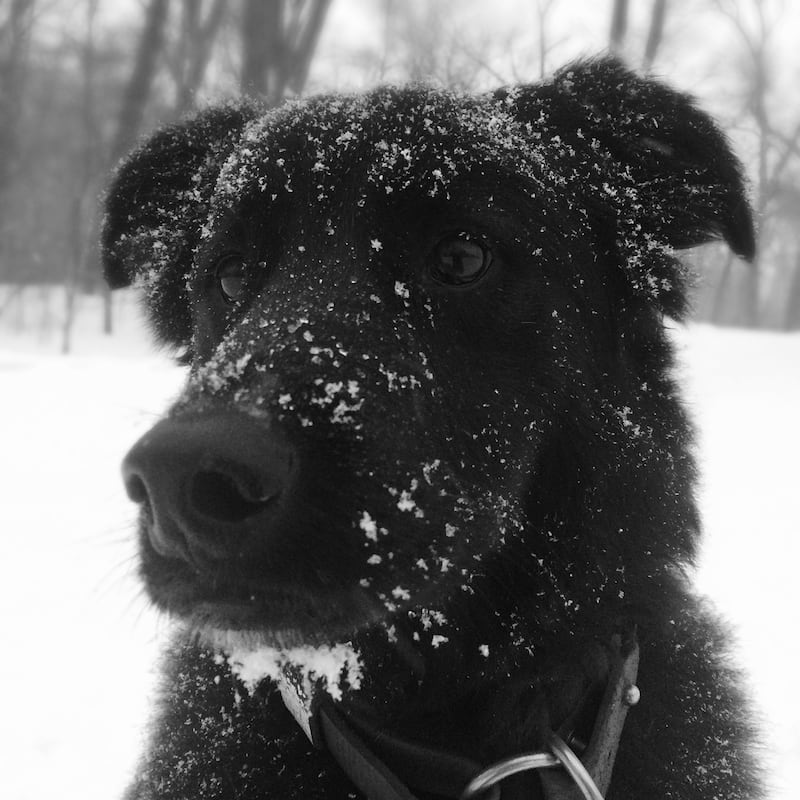 galleries/2015/01/26/blizzard-bears-down-on-northeast-photos/150128-juno-update-08_lybggz