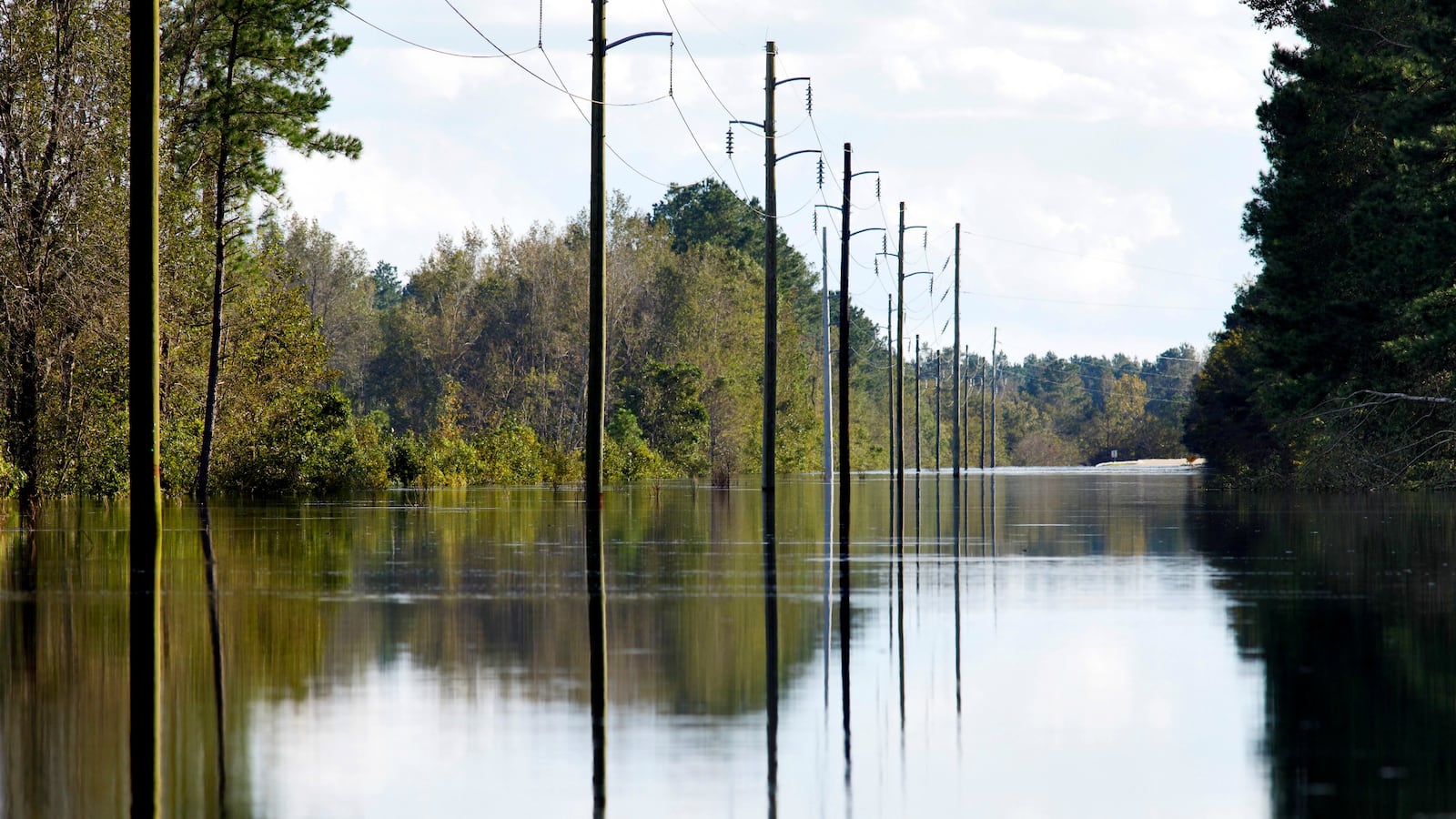 180918-south-carolina-patients-killed-cheat_pqvttl