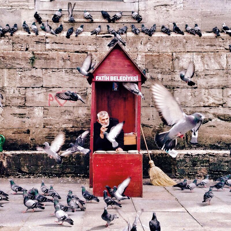 galleries/2015/06/18/iphone-photography-at-its-best/150618-IPPA-11_ogiogf