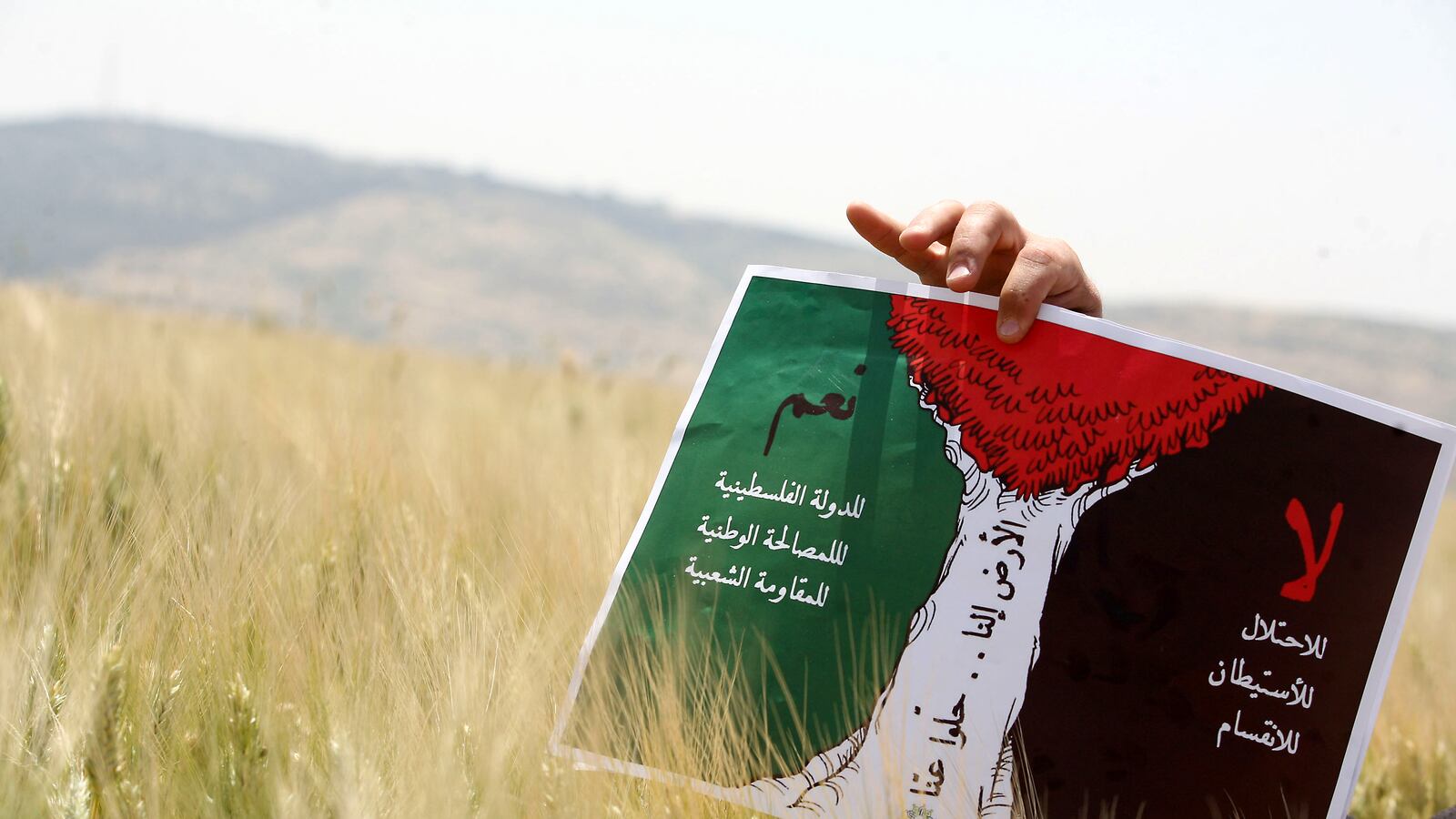 articles/2012/07/26/give-palestinian-third-parties-a-chance/palestinian-sign-openz_perjym