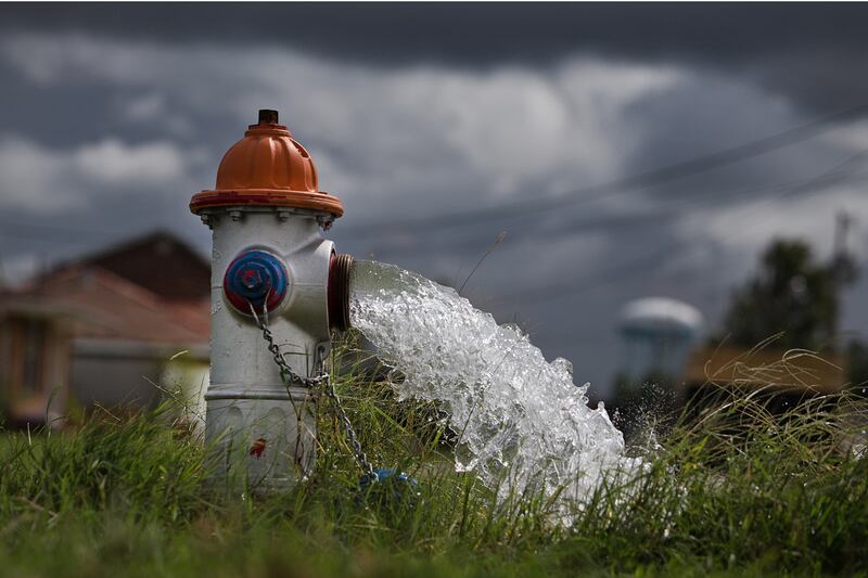 articles/2013/09/23/this-amoeba-eats-your-brain-naegleria-fowleri-rattles-new-orleans/130922-sepkowitz-amoeba-tease_rudb9w