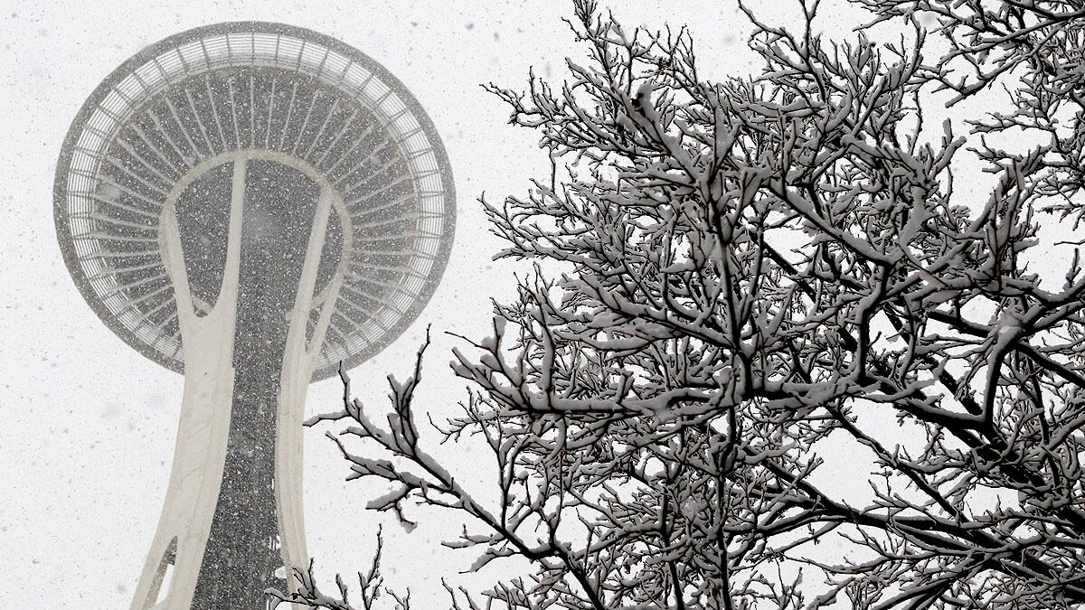 cheats/2012/01/17/blizzard-predicted-in-northwest/seattle-winter-weather-cheat_fe6xvn