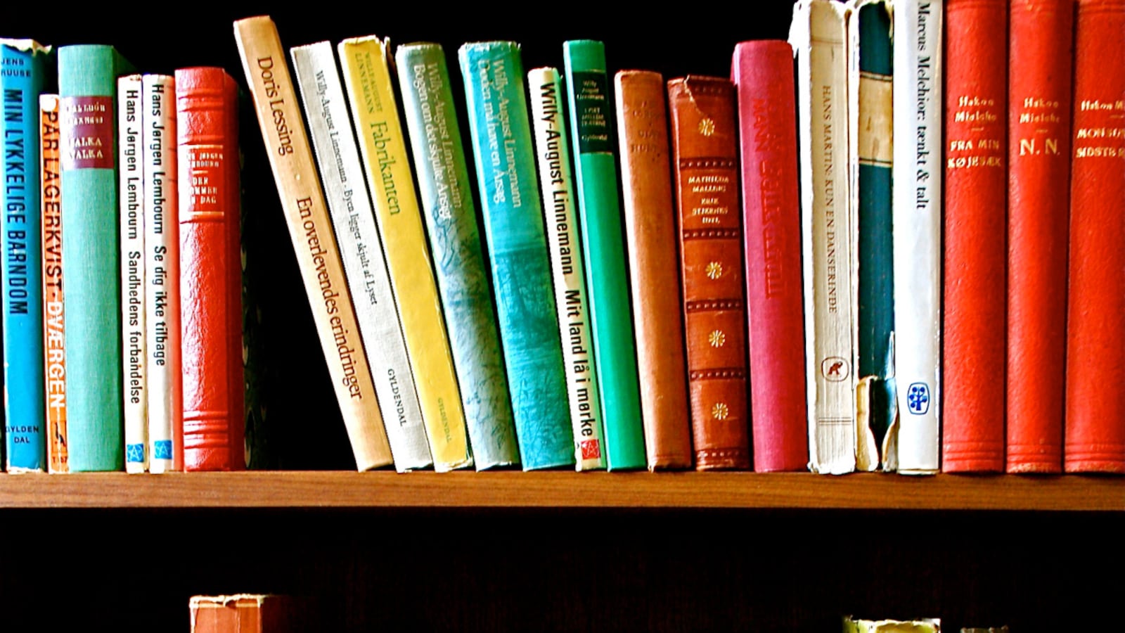 articles/2012/02/18/introducing-the-bookshelf/bookshelf-frum_ptzutr
