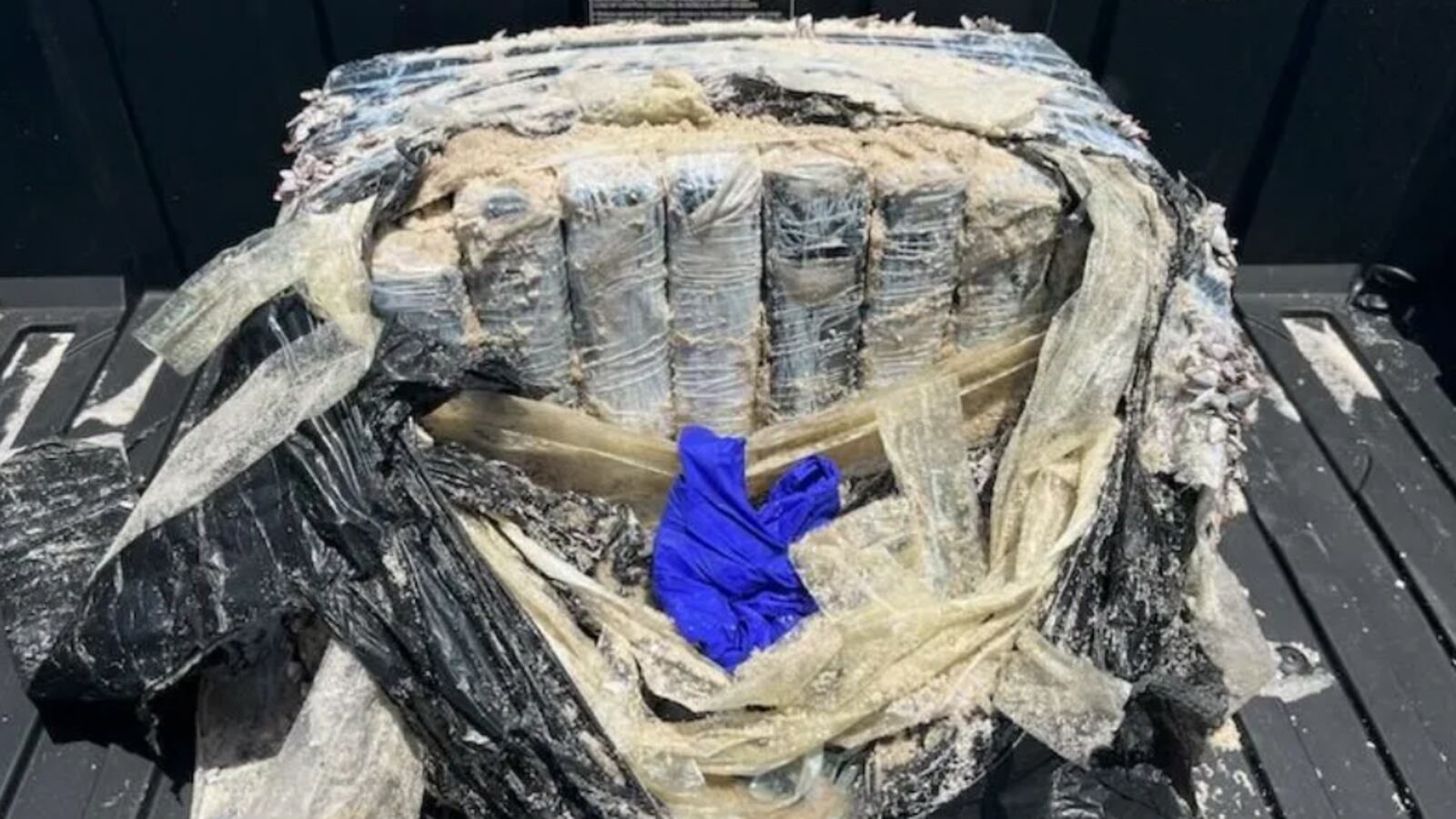 Discovery on Dauphin Island.