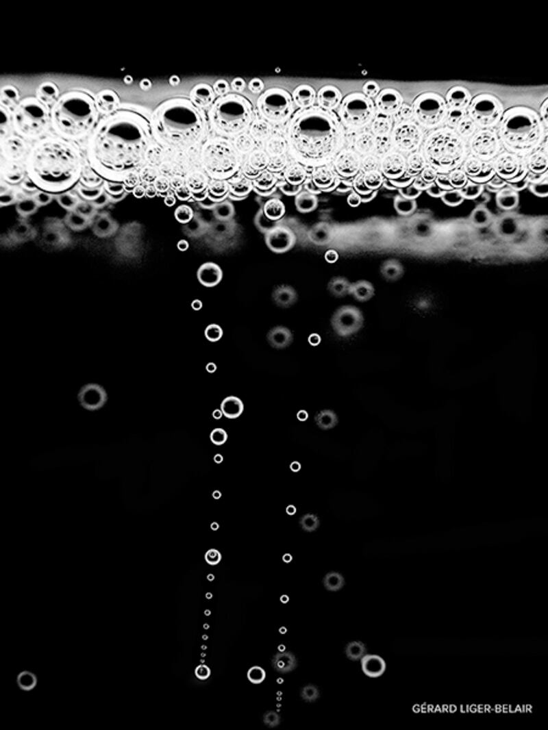 media_P-champagne-bubbles-rising_uapqun