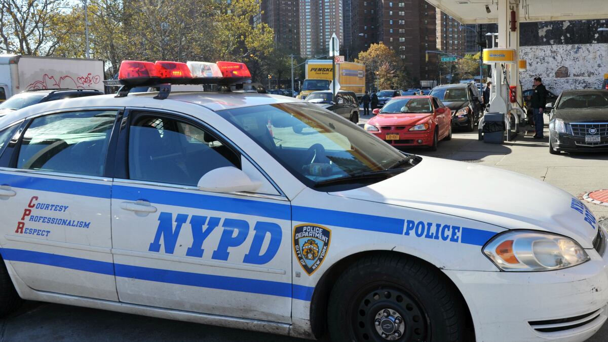 cheats/2013/06/12/feds-back-plaintiffs-suing-nypd-over-stop-and-frisk/doj-opposes-nypd-cheat_jgvxco