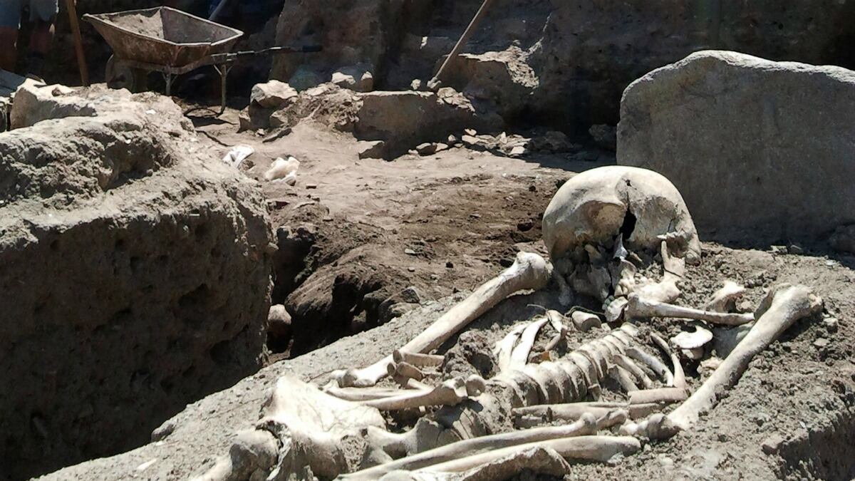 cheats/2012/06/06/vampire-skeletons-unearthed/vampire-skeleton-cheat_jlrbb4