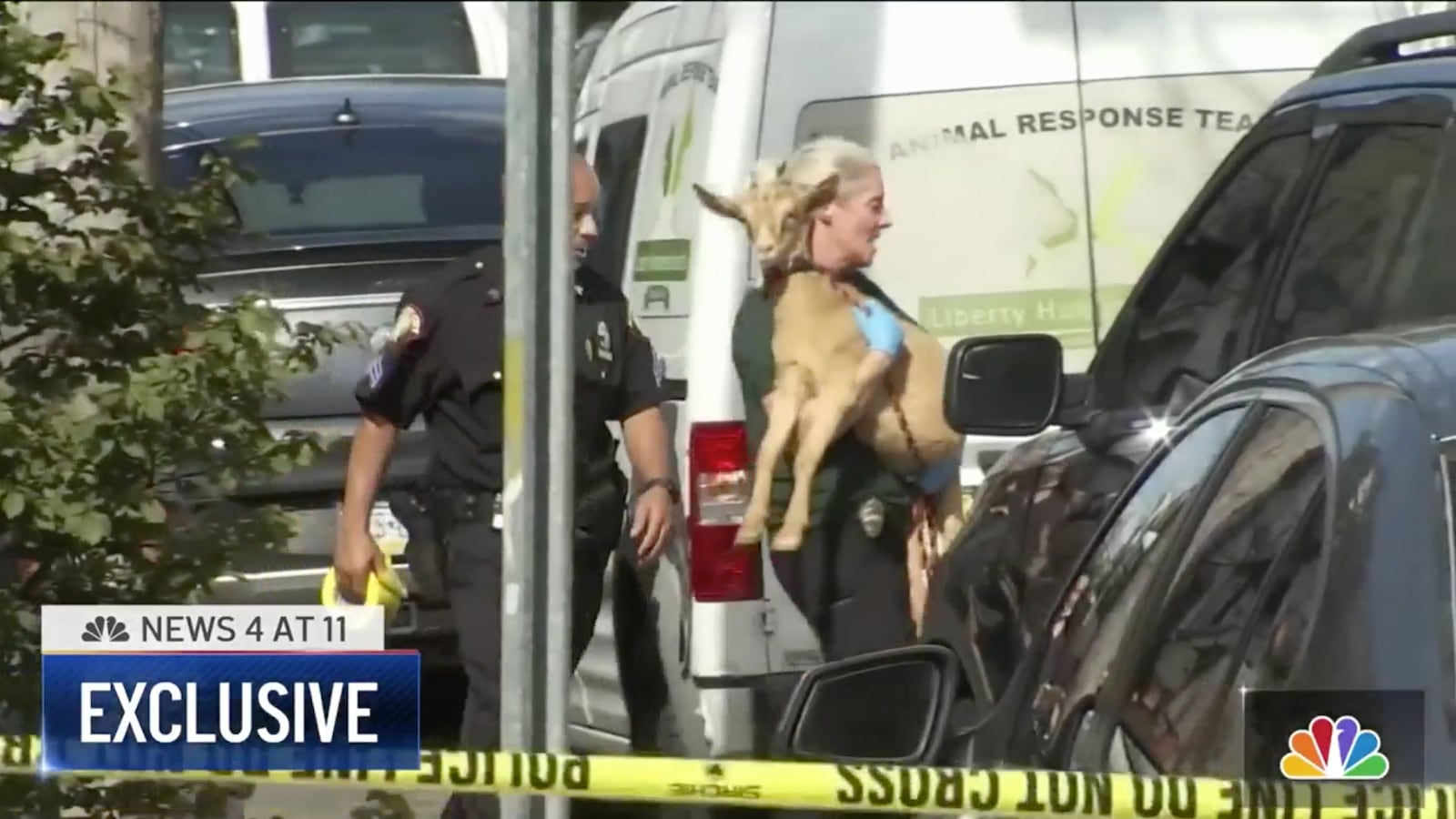 Screen_Shot_2021-08-20_at_13.45.37_hllyql