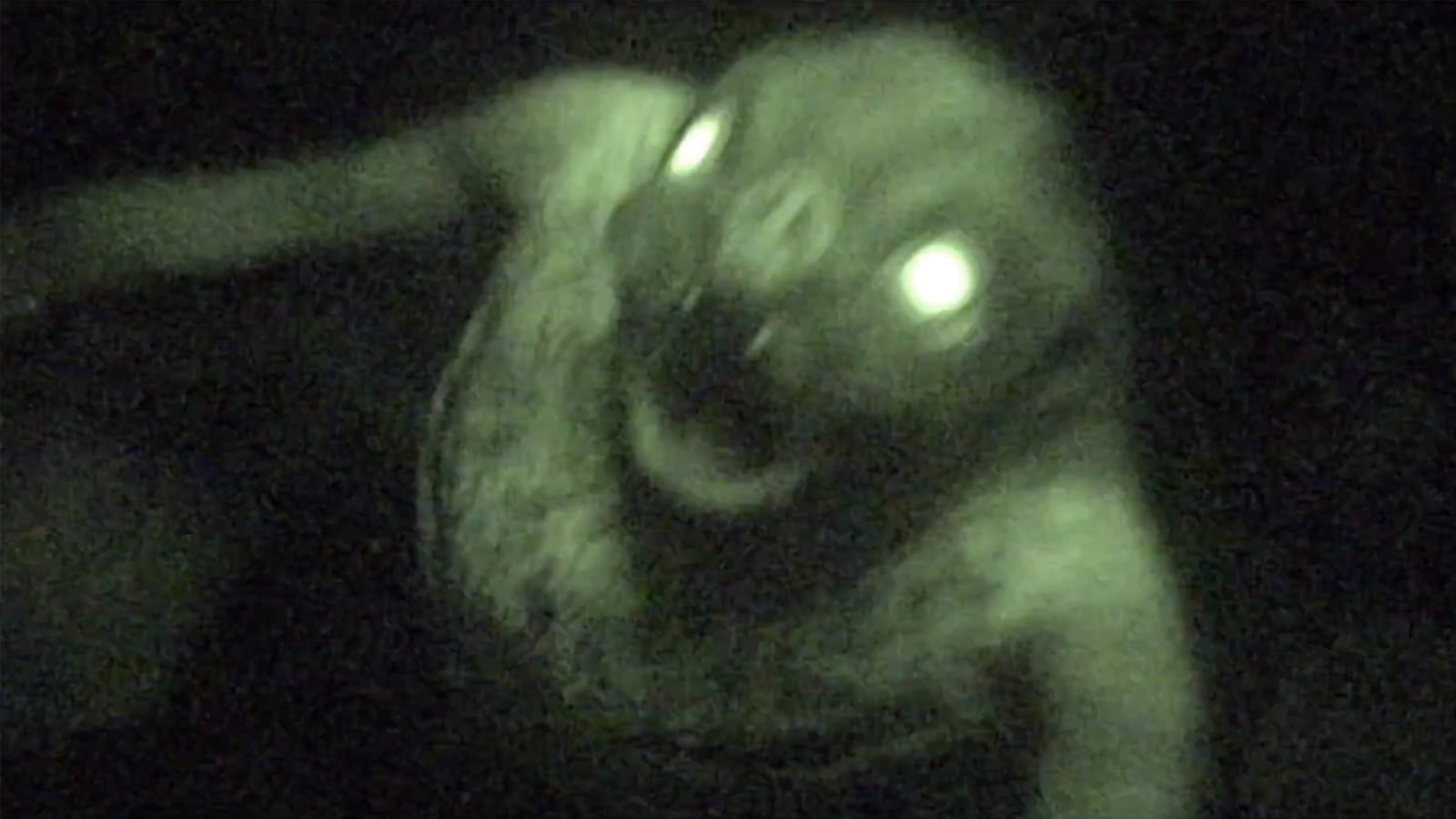 201016-mothman-tease_qcyuyx