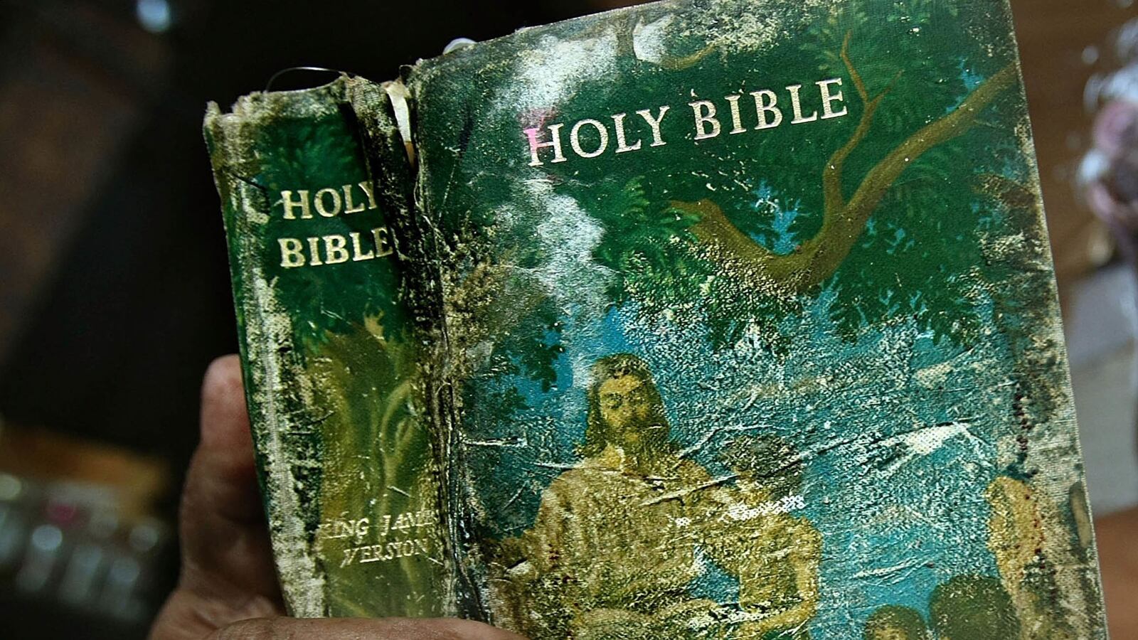 cheats/2014/04/14/louisiana-making-bible-state-book/140414-bible-louisiana-cheat_x6de8d