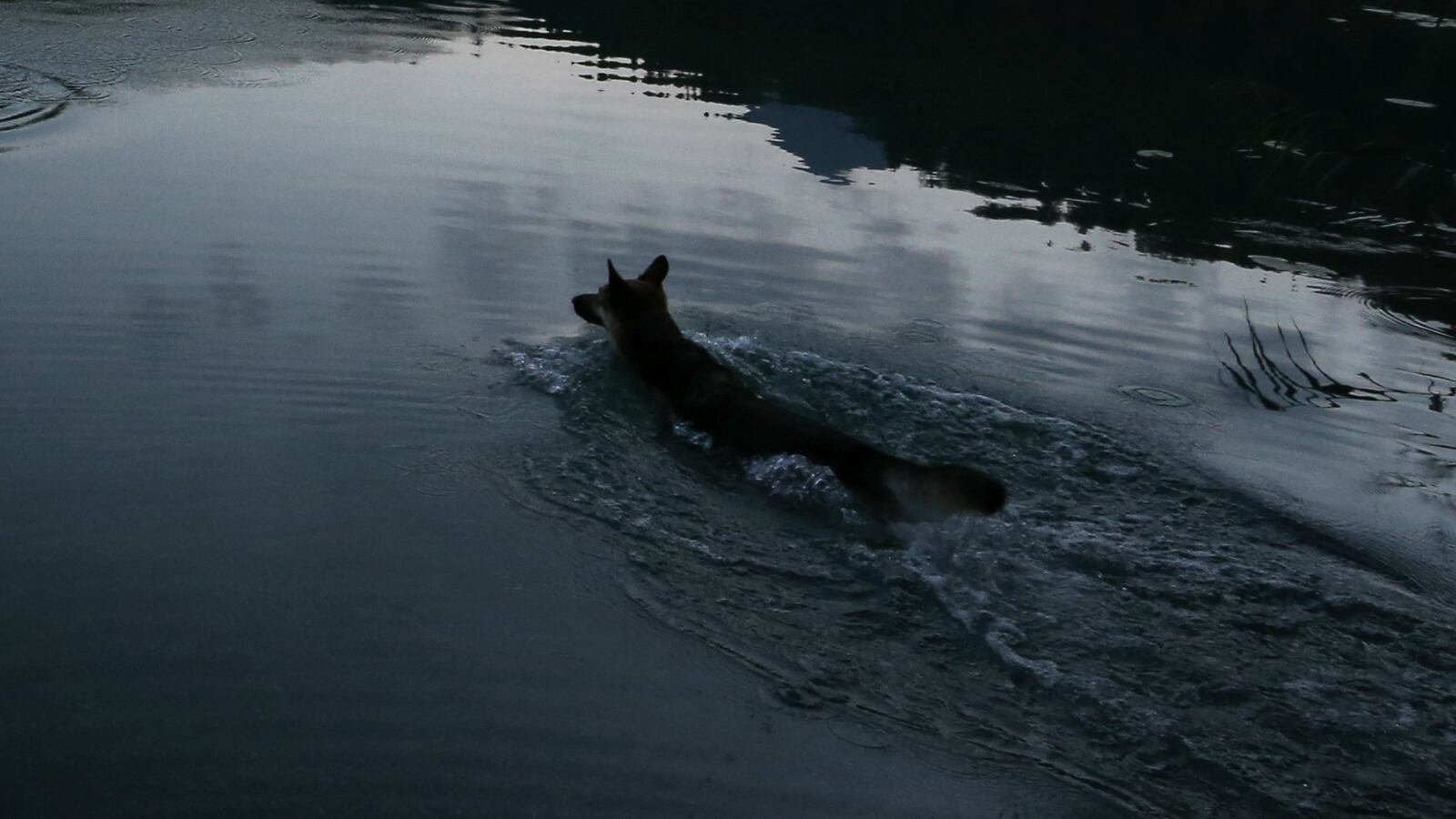 GettyImages-610615626_rtq1mo