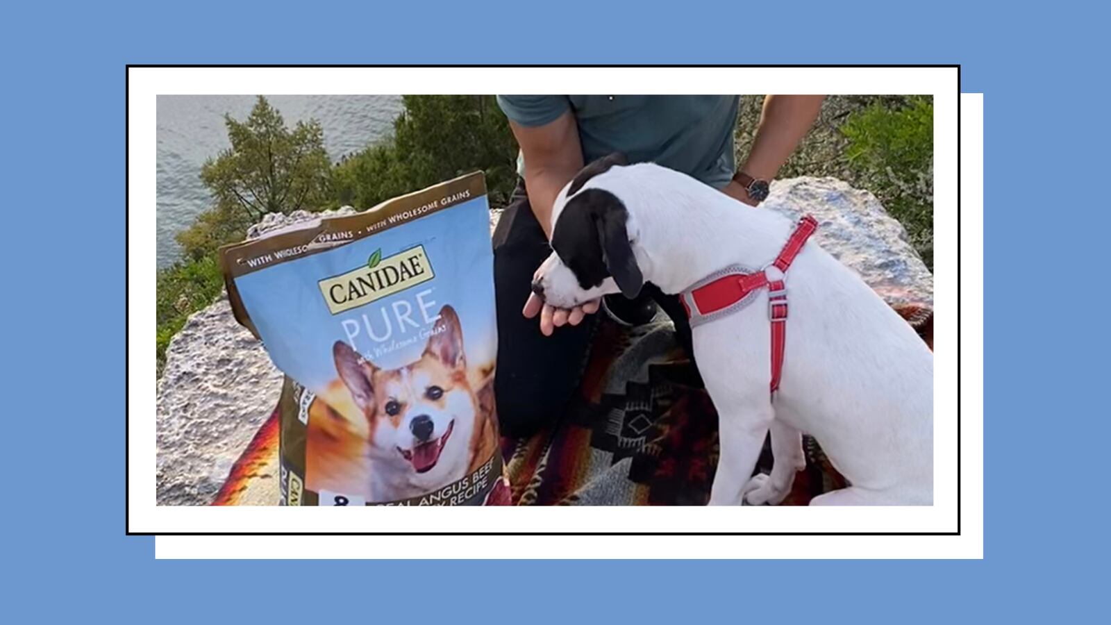 PetSmart_Canidae_Q1_2021.001_npo3sl