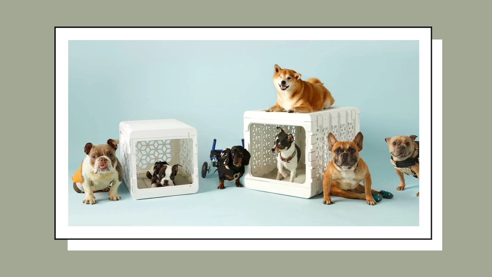 Kindtail-Pet-Crates-Beds-Bowls_nfqvww