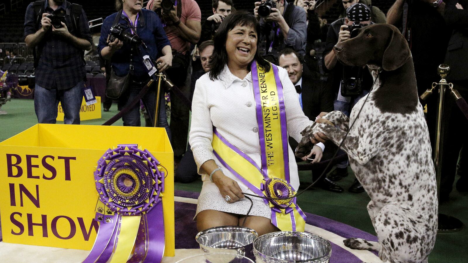 cheats/2016/02/16/german-shorthaired-pointer-wins-top-dog/160217-westminster-best-in-show-cheat_i8qg2z