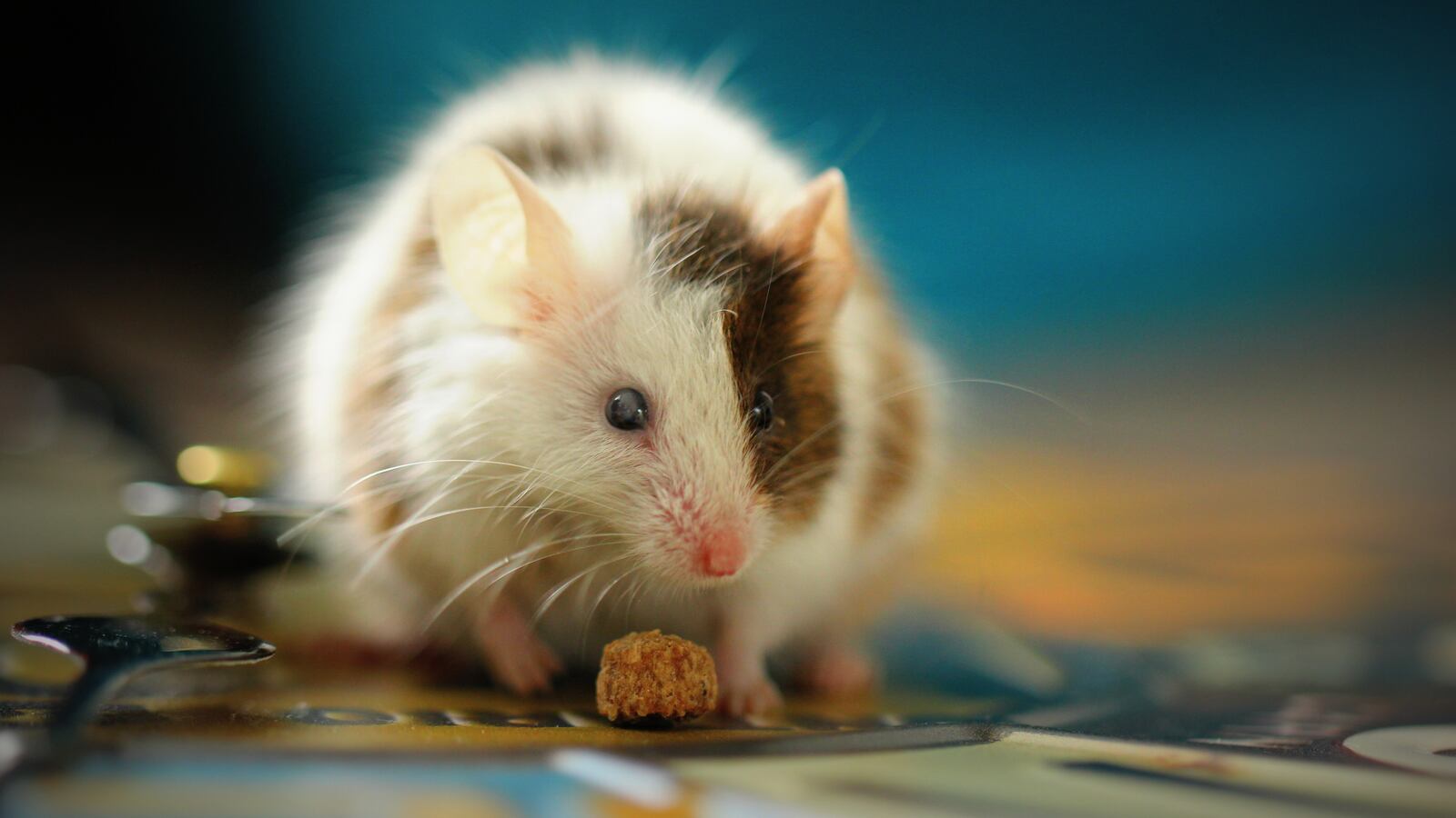 sandy-millar-e9GyzrK2IkM-unsplash_szrjkj