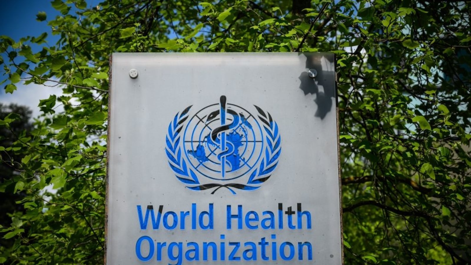 GettyImages-1210872966_vicucy