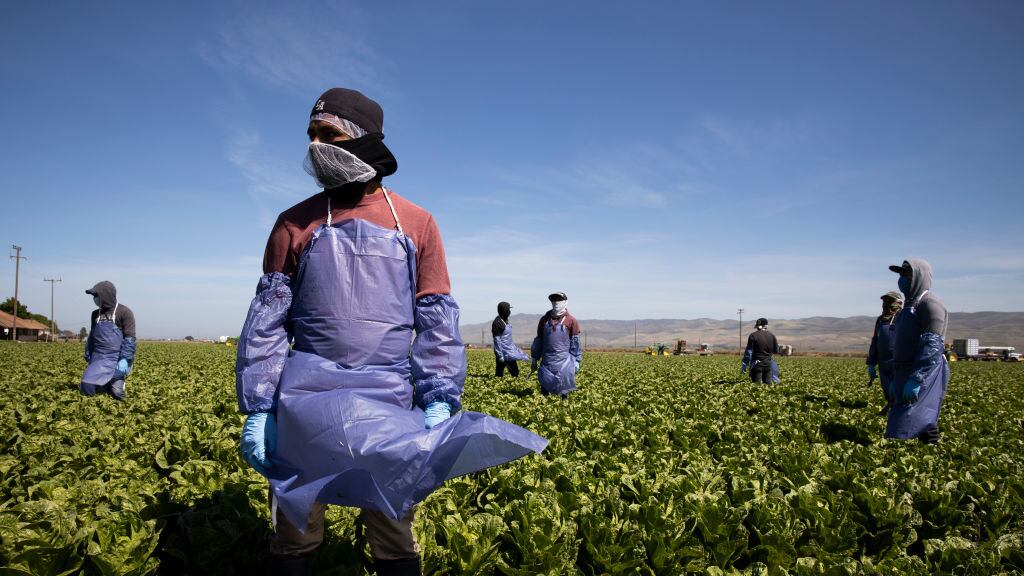 GettyImages-1211310309_dpoay5