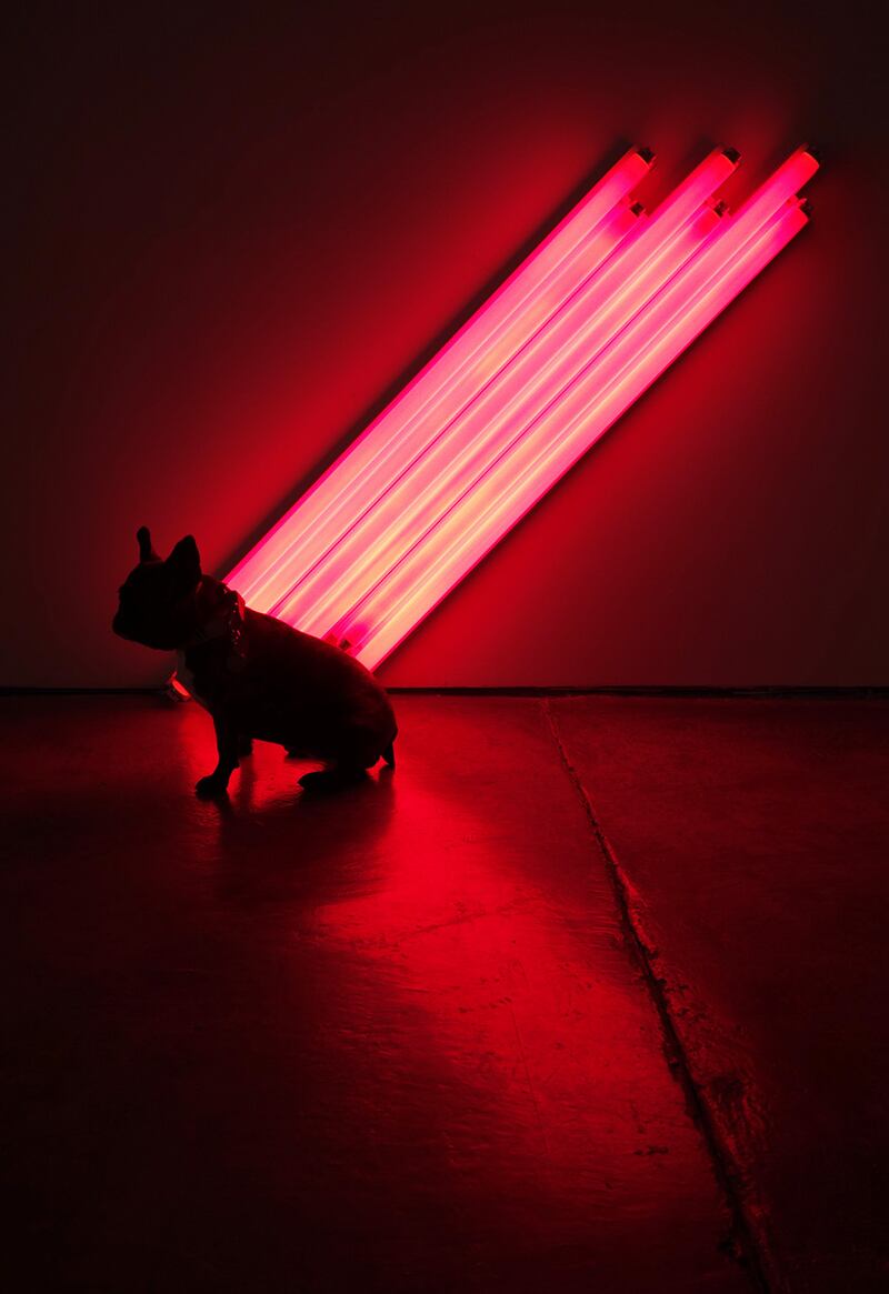 galleries/2015/03/10/meet-pickle-the-art-world-s-favorite-canine-blogger/150309-pickles-art7_p3ufeu