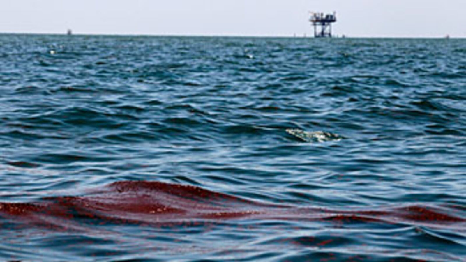 cheats/2010/05/09/oil-industry-watchdogs-too-sluggish/oil-spill_epptzh