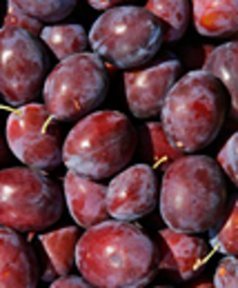 articles/2011/08/31/fresh-picks-alfred-portale/alfred-portale-fresh-picks-recipe_cq8yoc