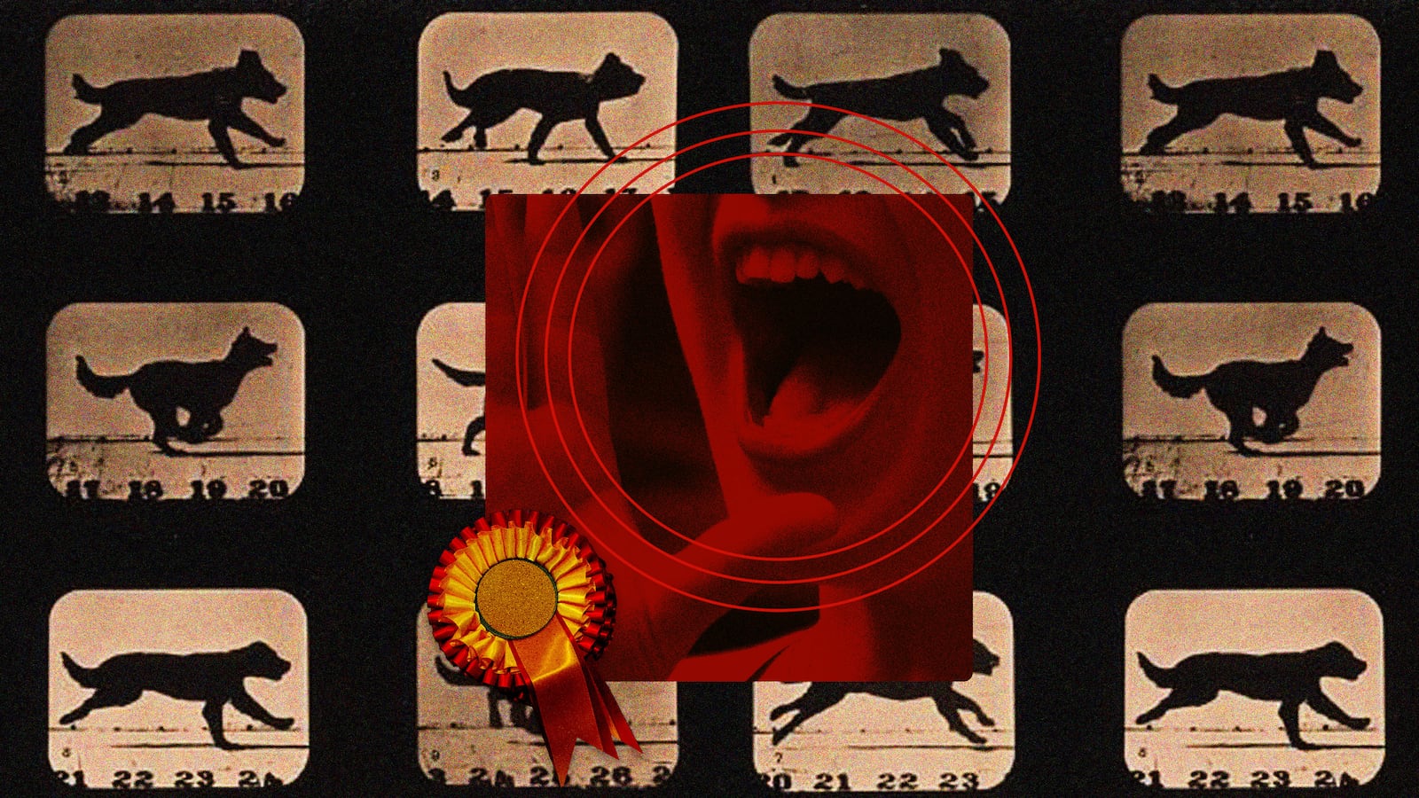 230225-rohrlich-dog-show-world-hero_vykibo